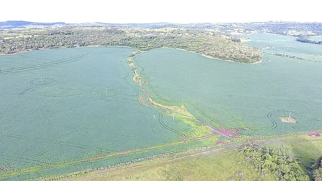PMA aplica quase R$ 500 mil em multas por 17 áreas de reservas desmatadas em MS