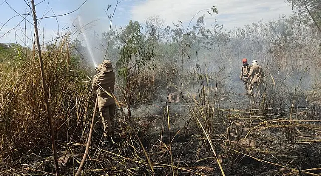 Queima de dejetos pode ter incendiado 1,5 hectares de área urbana em Corumbá