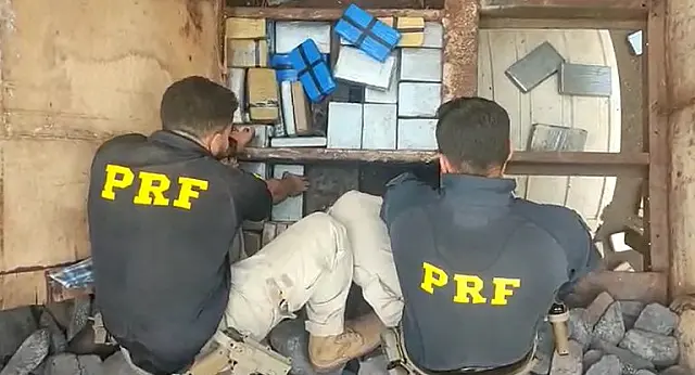 Cães farejadores ajudam a localizar 152kg de cocaína