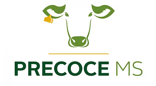 Curso de capacitação de responsável técnico do Programa Precoce MS agora é on-line