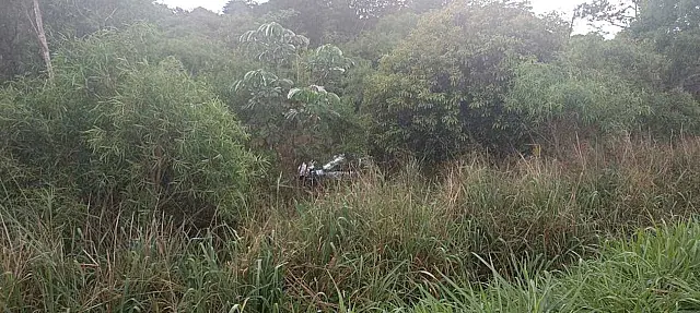 Motorista morre após carro cair em barranco na BR-376