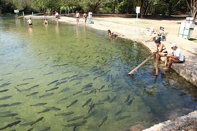 Bonito deve receber mais de 10 mil turistas durante feriado de Carnaval