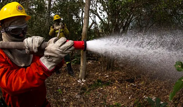 Pantanal registra queda de quase 97% nos focos de incêndio em julho