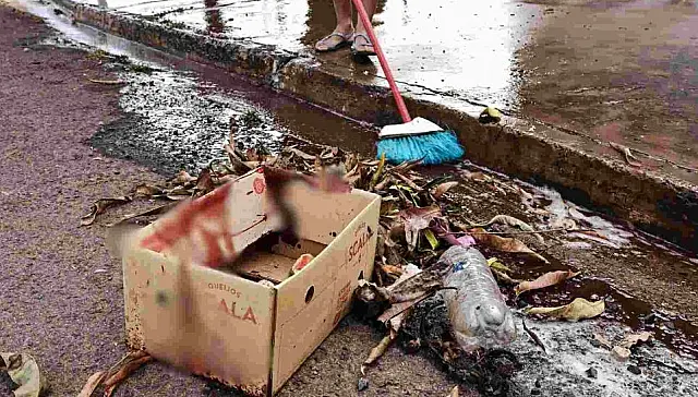Homem em situação de rua é morto a facadas na Capital