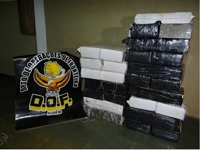 Polícia apreende R$ 485 kg de maconha que abasteceria bocas de fumo