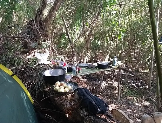 PMA desmonta acampamento, apreende armas, caça e aplica multas