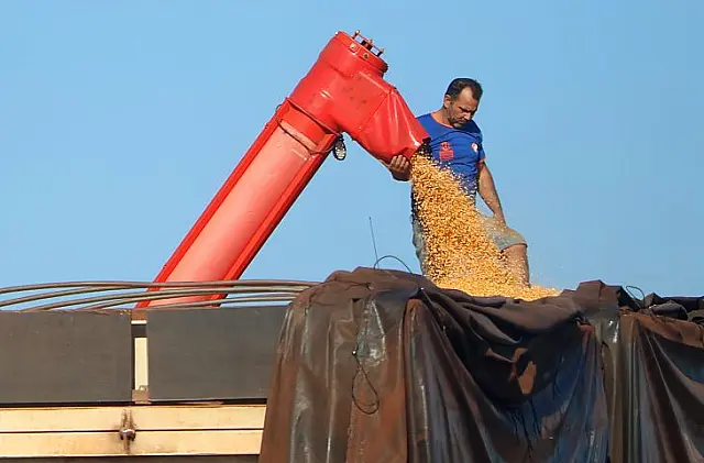 MS bate recorde na produção de milho e supera 14 milhões de toneladas
