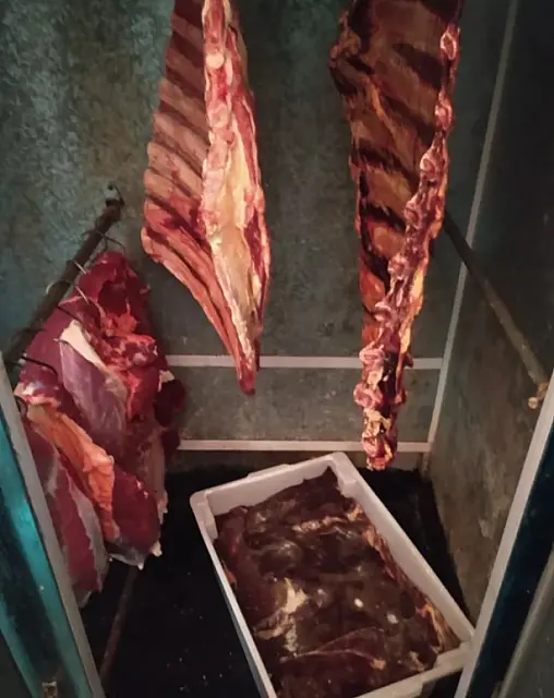 Apreendida 1 tonelada de carne vinda de abate clandestino
