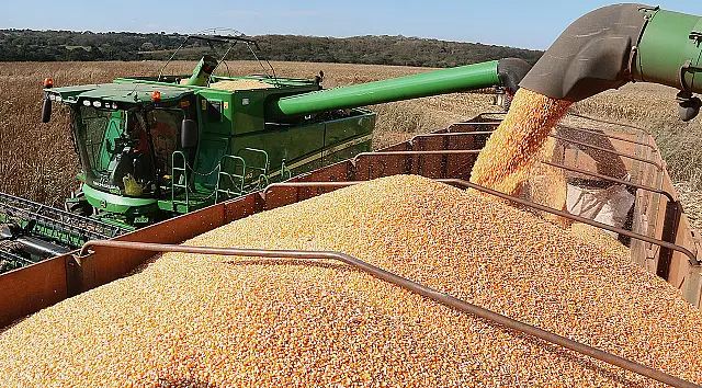 Saldo da balança comercial de MS chega a US$ 2,2 bilhões no acumulado de janeiro a setembro