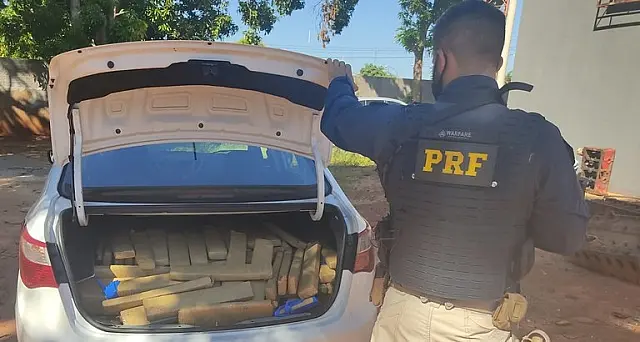 PRF apreende 293 kg de maconha escondidos em porta-malas