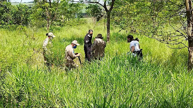 Desaparecidos há 5 dias são encontrados mortos às margens de rodovia de MS