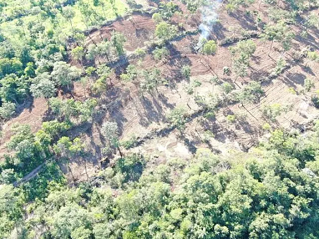 Empresário campo-grandense é multado em R$ 50 mil pela PMA por desmatamento ilegal em Piraputanga
