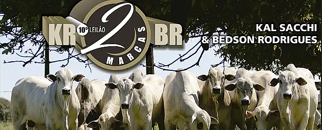 Leilão 2 Marcas ocorre neste sábado, em Anastácio