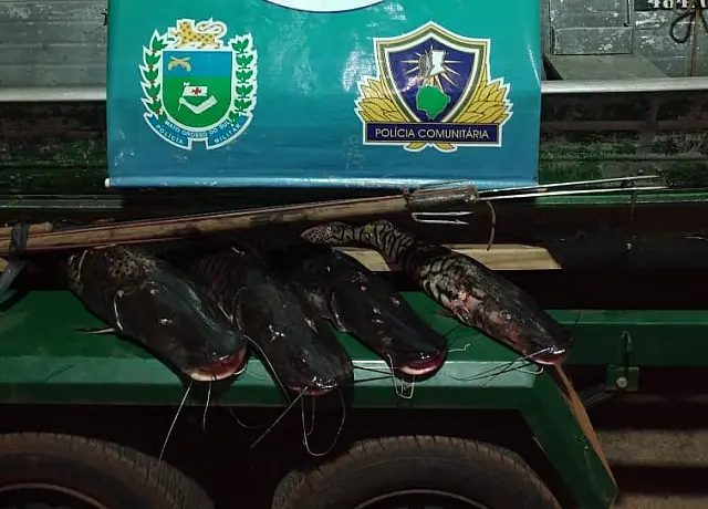 PMA flagra pesca predatória no rio Salobra, em Miranda, e homem é preso