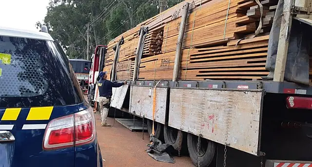 Com carga de madeira ilegal, caminhoneiro é multado em R$ 10 mil pela PMA