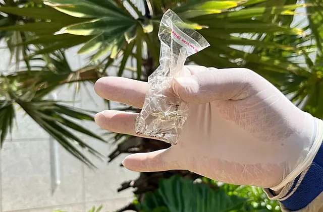 MS registra mais de 8,3 mil casos confirmados de dengue e 18 mortes em 2025