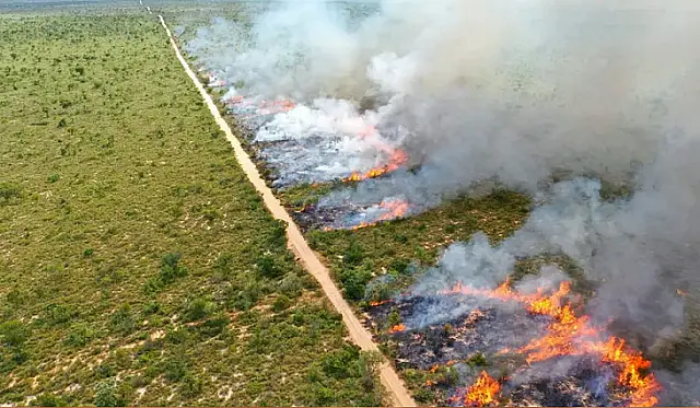MS prorroga proibição de queima controlada no Pantanal
