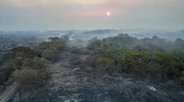 Chuvas reduzem focos de calor no Pantanal e Defesa Civil continua em alerta em MS