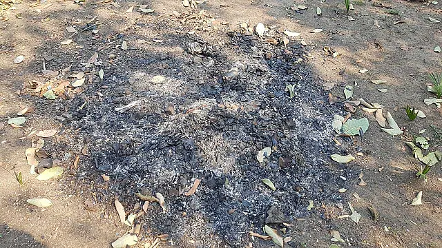 Mulher queima lixo em propriedade próxima do Pantanal e é multada em R$ 5 mil