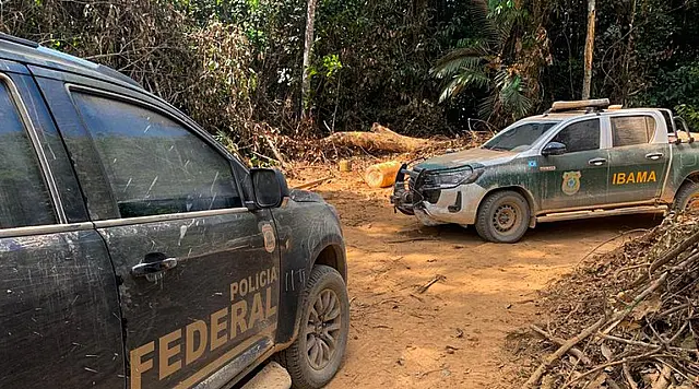 Ibama estabelece diretrizes de ações ambientais para 2024