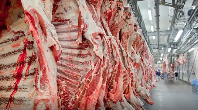 Exportação de carne bovina bate recorde em mês anterior ao tarifaço