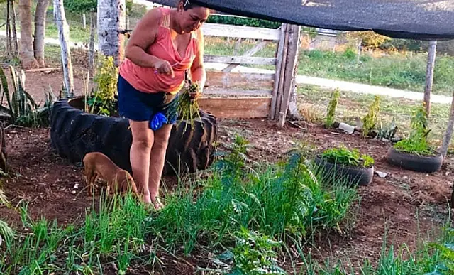 Dia do Agricultor: da terra para mesa, MS tem mais de 4,4 mil empresas na zona rural