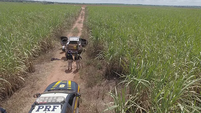 PRF apreende 1 tonelada de maconha escondida em interior de veículo