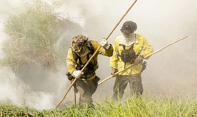 Área queimada no Pantanal dispara 1886% em 2024