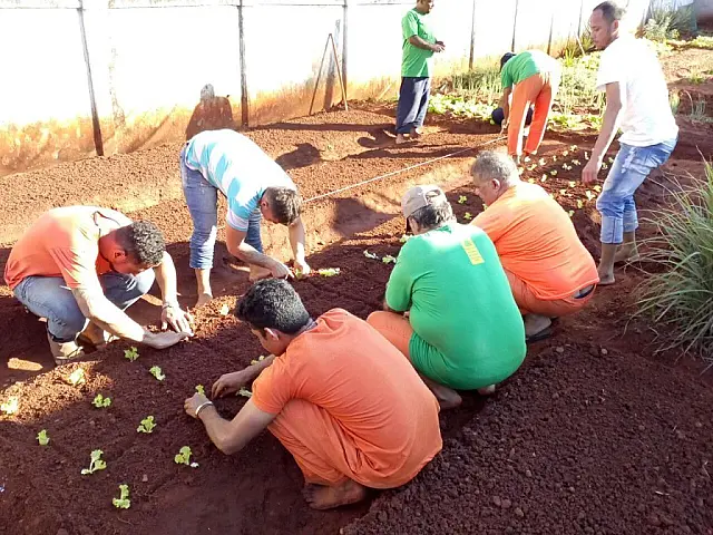 Horticultura é tema de curso profissionalizante oferecido a reeducandos de Jardim
