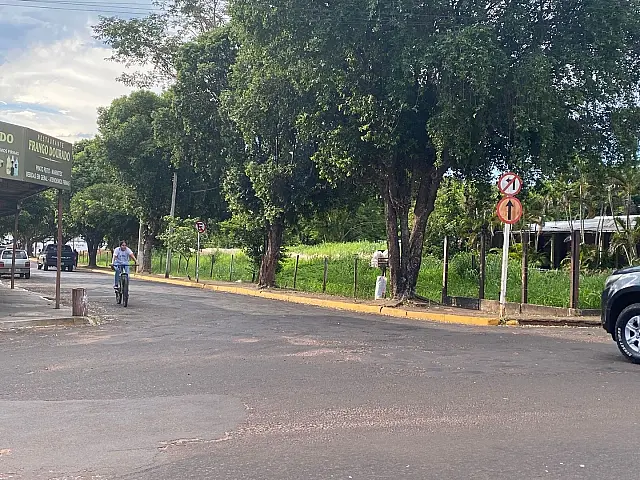 Queixadas continuam preocupando moradores de Aquidauana