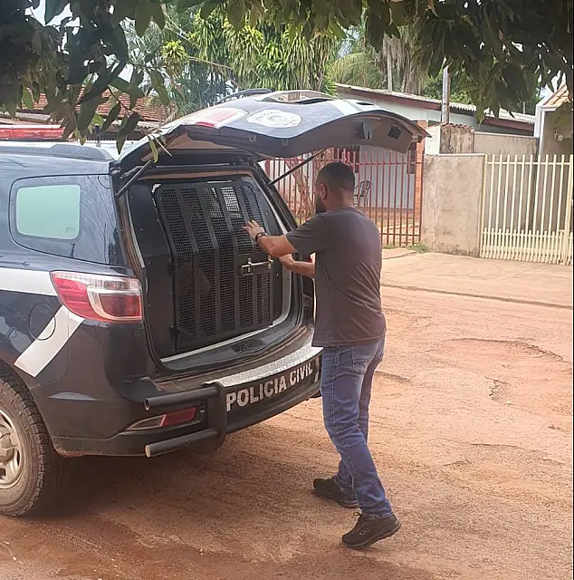 Polícia Civil de Rio Verde prendeu cinco por estupro e abusos neste ano