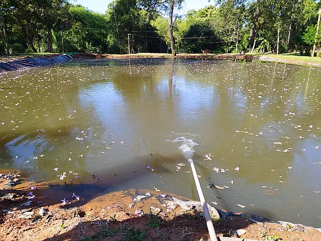 PMA autua homem em R$ 30 mil por crime ambiental