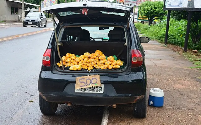 Em época de Pequi, moradores de Aquidauana e região fazem do fruto uma forma de renda extra