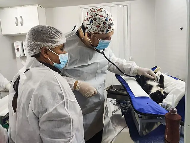 Castramóvel de Aquidauana já atendeu 857 animais em 7 meses
