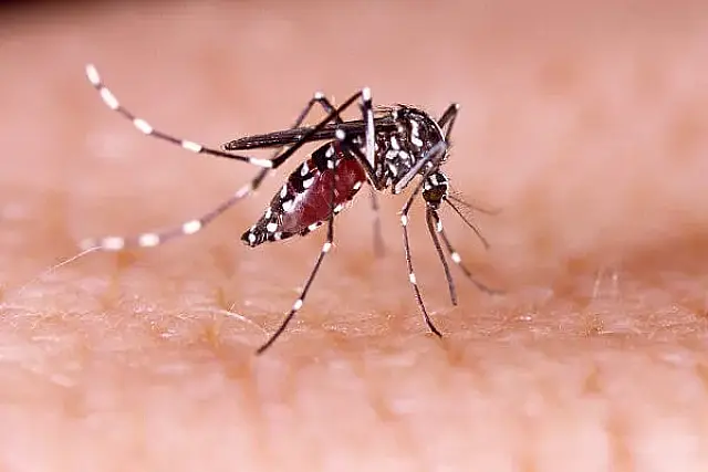 Em uma semana, MS confirma mais 1,3 mil casos de dengue e nenhuma morte