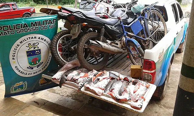 PMA apreende filés de peixe de pesca ilegal na Ilha do Serrano