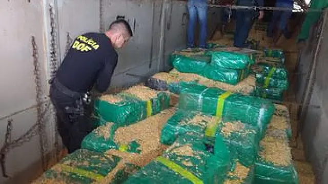 DOF apreende mais de 10 ton de maconha, a maior apreensão de 2018