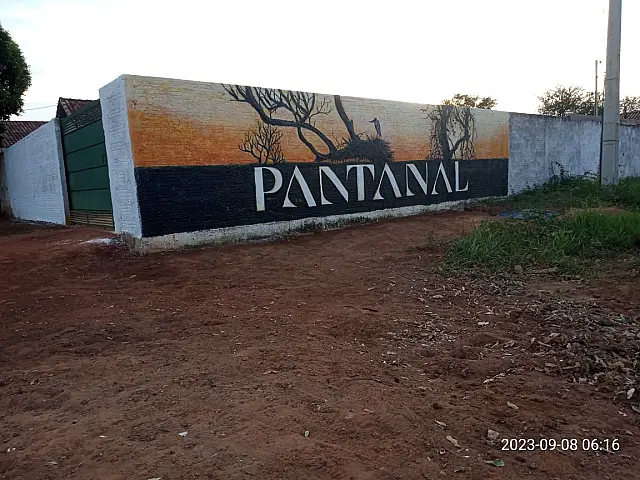 Artista retrata novela Pantanal no muro da sua casa