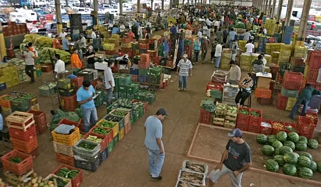 Rota dos alimentos: saiba de onde vem os produtos mais vendidos na Ceasa-MS