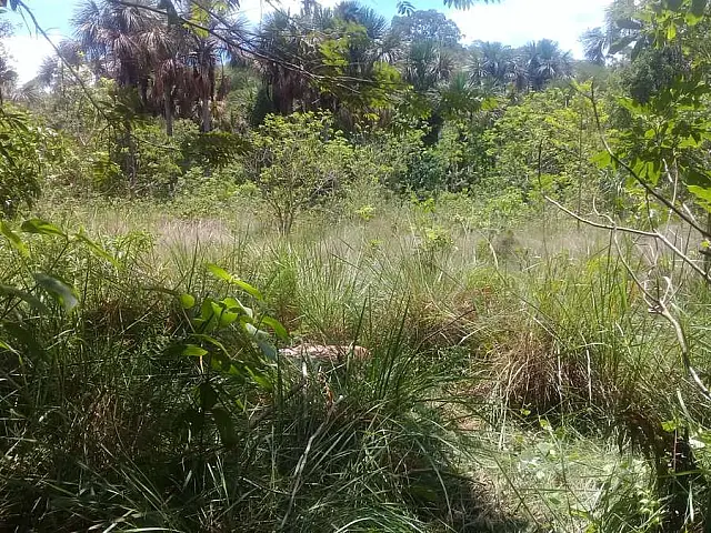 Homem que matou e jogou corpo em assentamento será julgado na quarta-feira