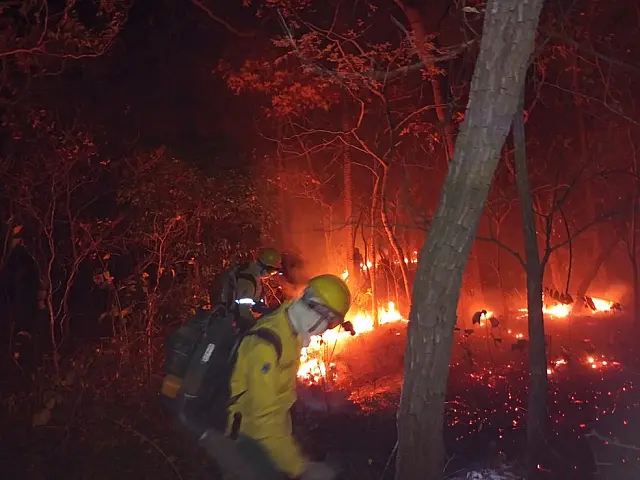 MS: clima seco e quente dificulta combate a incêndios