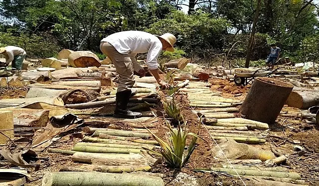 Comunidade ganha projeto e transforma impactos em benefícios para natureza em MS