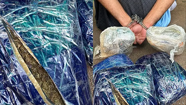 Homem é preso receber droga pelos Correios em Campo Grande