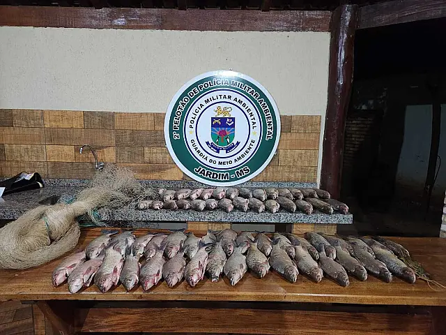 Quatro pescadores são multados em R$ 4,4 mil por pesca ilegal no rio Miranda