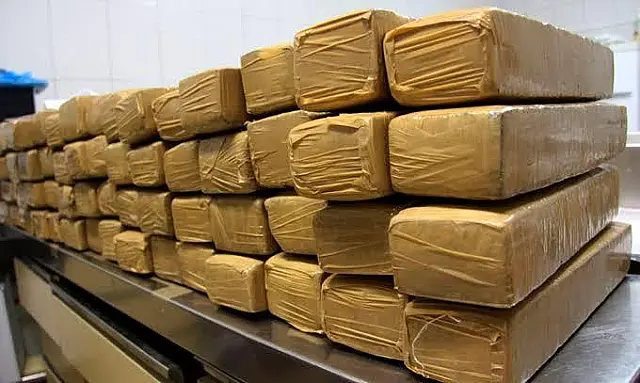Levantamento policial aponta mais de 3,5 toneladas de drogas apreendidas em 2019
