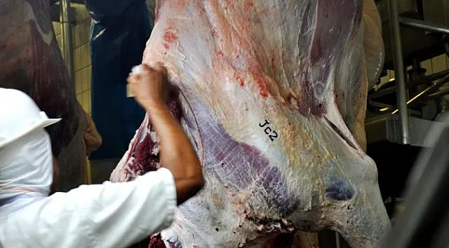 Governo debate monitoramento de carbono e lança Carne Sustentável do Pantanal