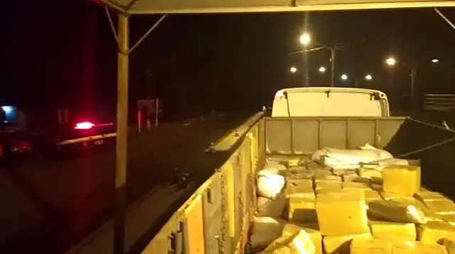 11,2 toneladas de maconha são apreendidas sob carga de sementes de girassol