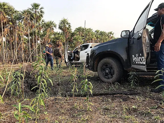 Operação já vistoriou 30 fazendas para identificar origem das queimadas no Pantanal