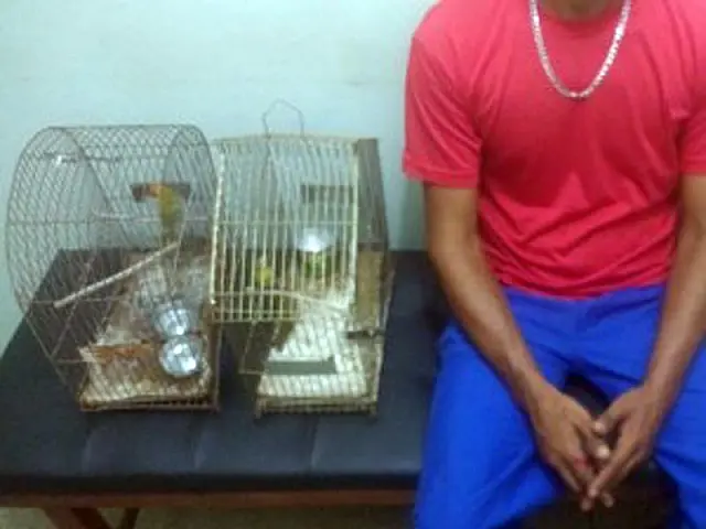 Homem é multado em R$ 3 mil por manter aves em cativeiro