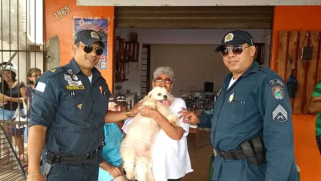Idosa tem cão furtado enquanto fazia compras e a PM recupera cachorrinho
